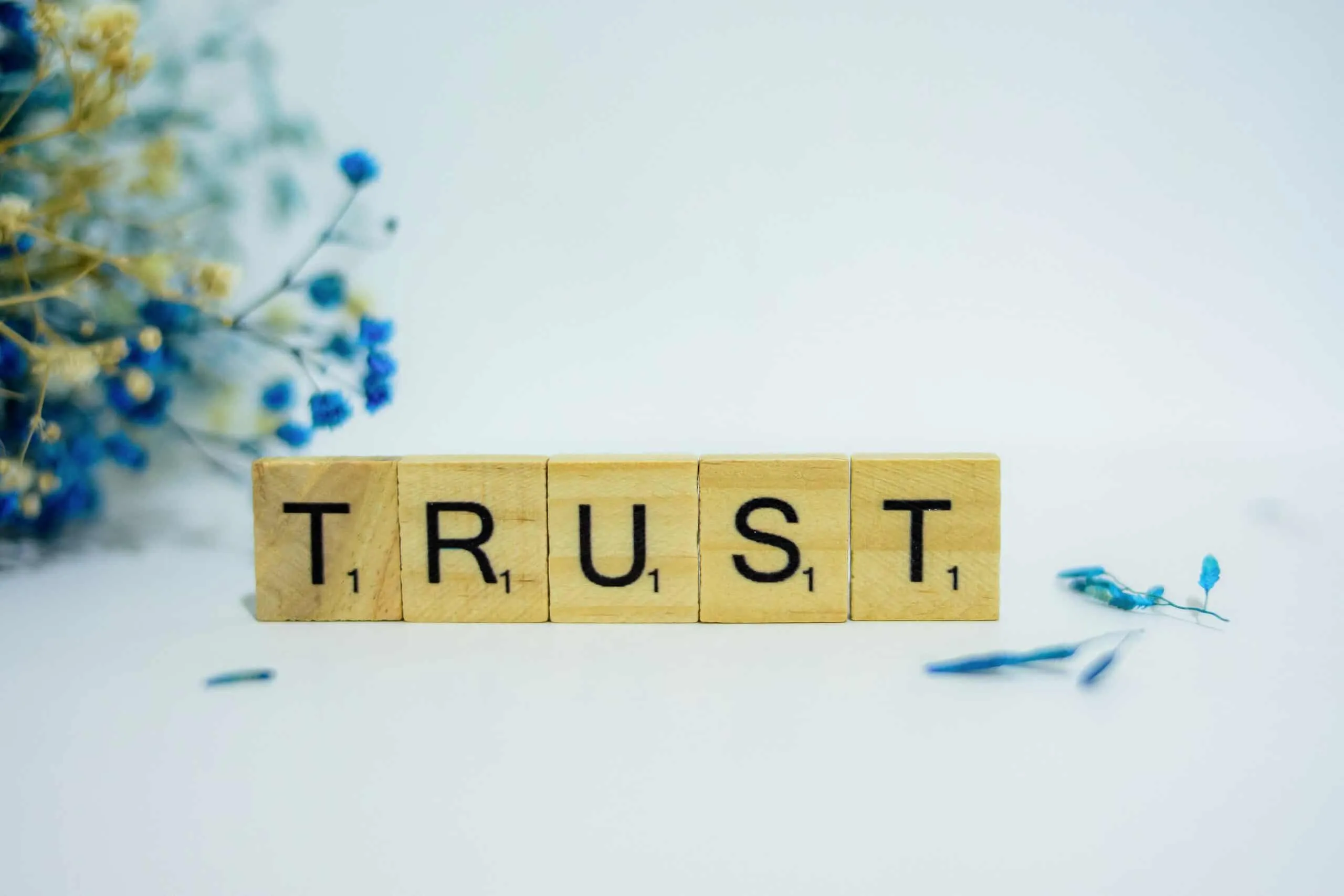 Wooden blocks spelling the word trust beside dried blue flowers